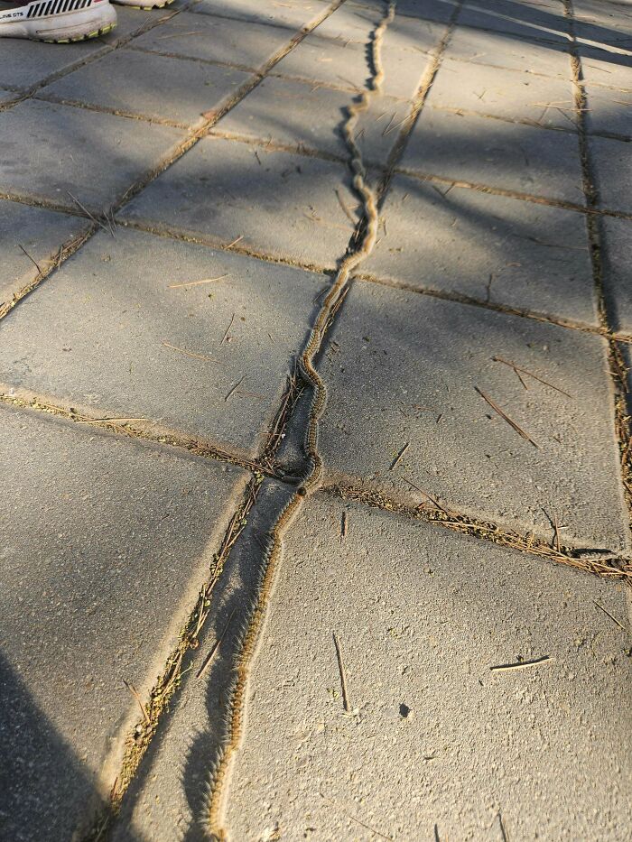 88 Interesting And Odd Pics That You Might Want To See 88 Interesting And Odd Pics That You Might Want To See