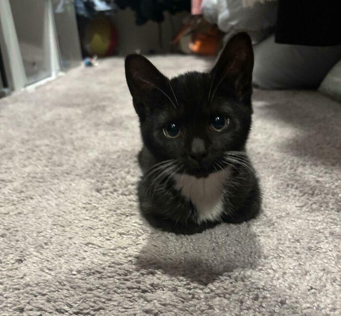 88 Interesting And Odd Pics That You Might Want To See 88 Interesting And Odd Pics That You Might Want To See