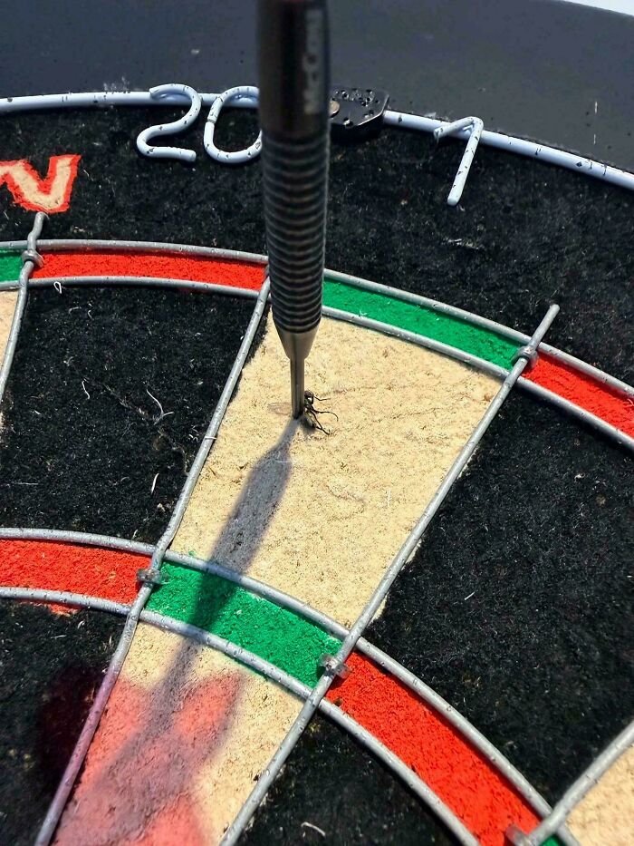 88 Interesting And Odd Pics That You Might Want To See 88 Interesting And Odd Pics That You Might Want To See