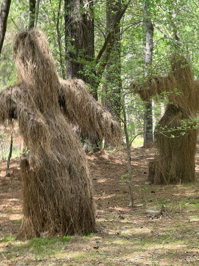 88 Interesting And Odd Pics That You Might Want To See 88 Interesting And Odd Pics That You Might Want To See