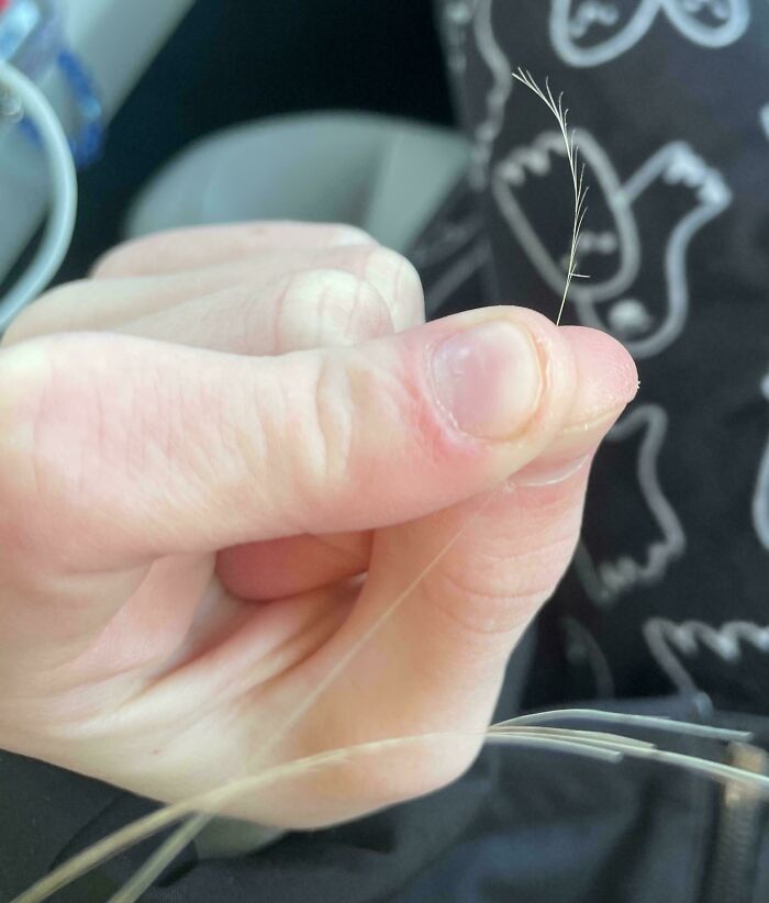 88 Interesting And Odd Pics That You Might Want To See 88 Interesting And Odd Pics That You Might Want To See