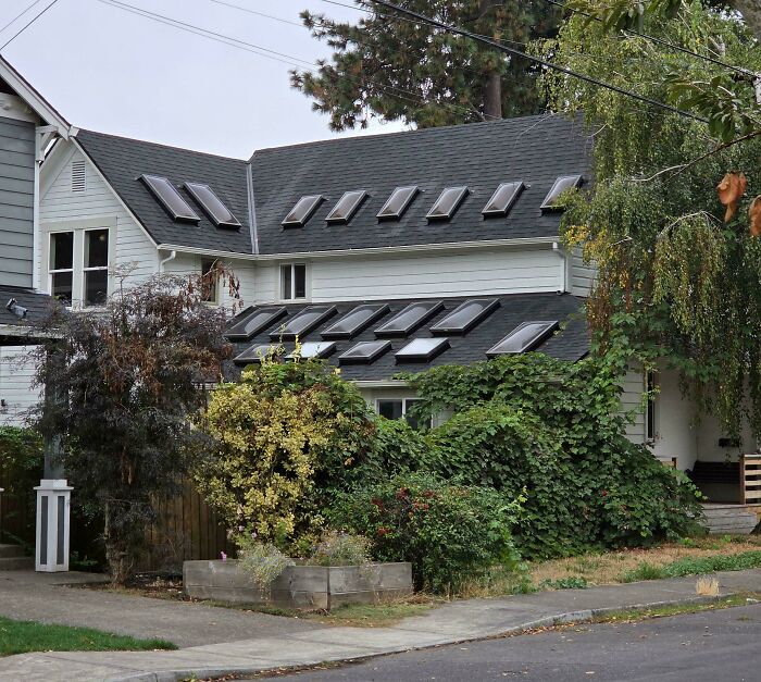 88 Interesting And Odd Pics That You Might Want To See 88 Interesting And Odd Pics That You Might Want To See