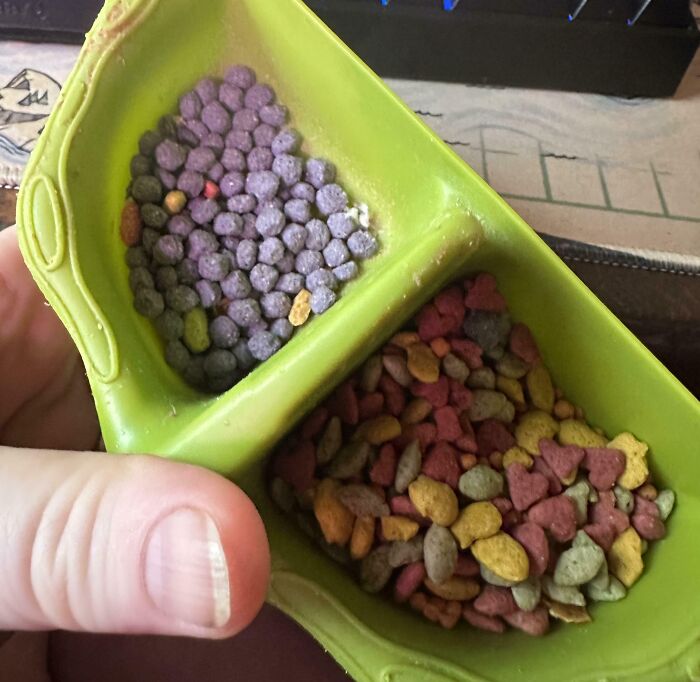 88 Interesting And Odd Pics That You Might Want To See 88 Interesting And Odd Pics That You Might Want To See