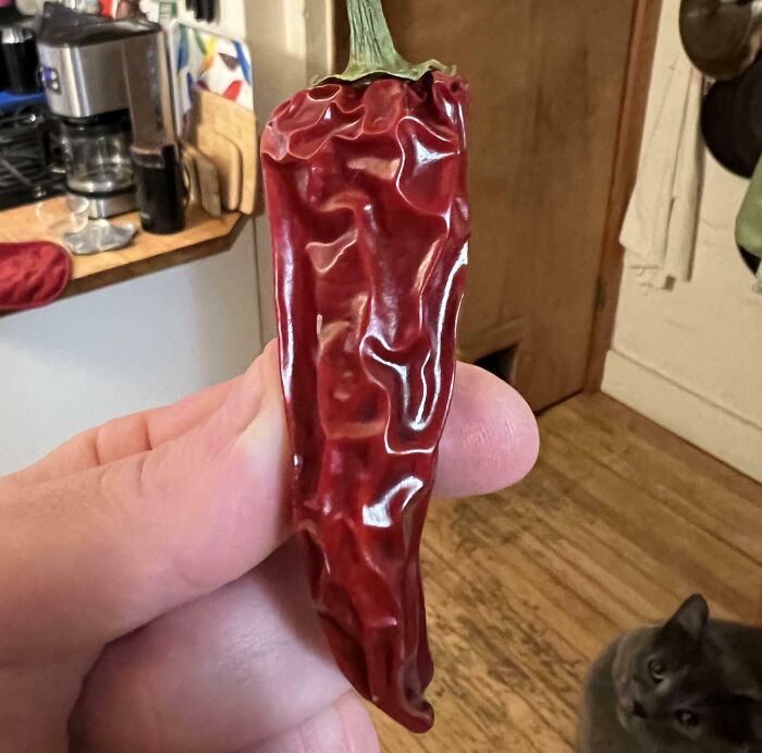 88 Interesting And Odd Pics That You Might Want To See 88 Interesting And Odd Pics That You Might Want To See