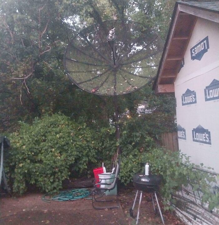 88 Interesting And Odd Pics That You Might Want To See 88 Interesting And Odd Pics That You Might Want To See