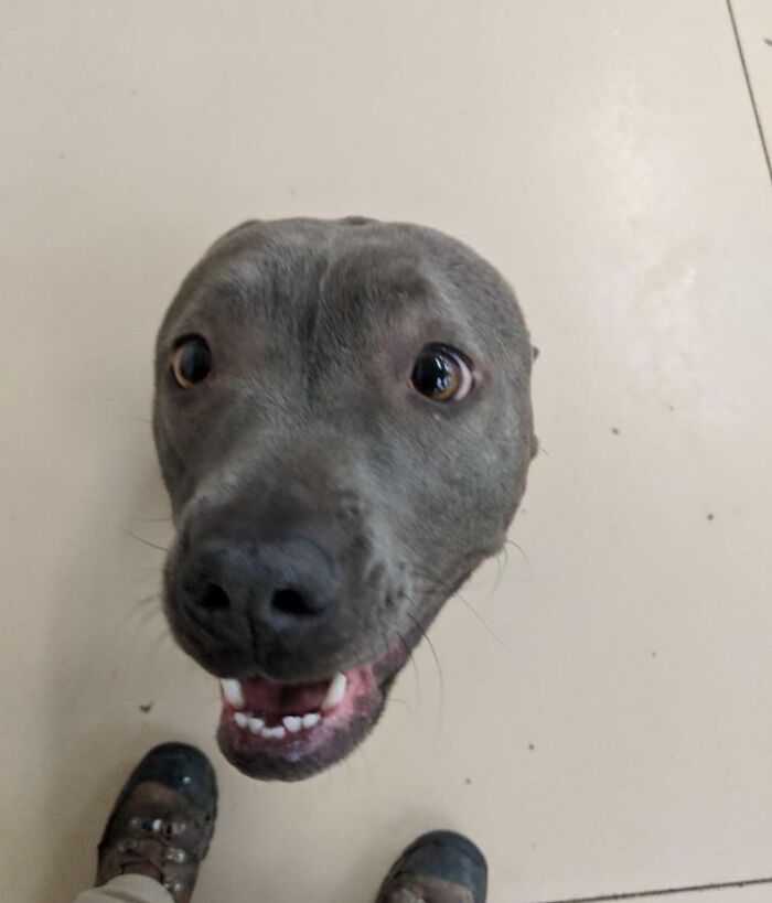 88 Interesting And Odd Pics That You Might Want To See 88 Interesting And Odd Pics That You Might Want To See