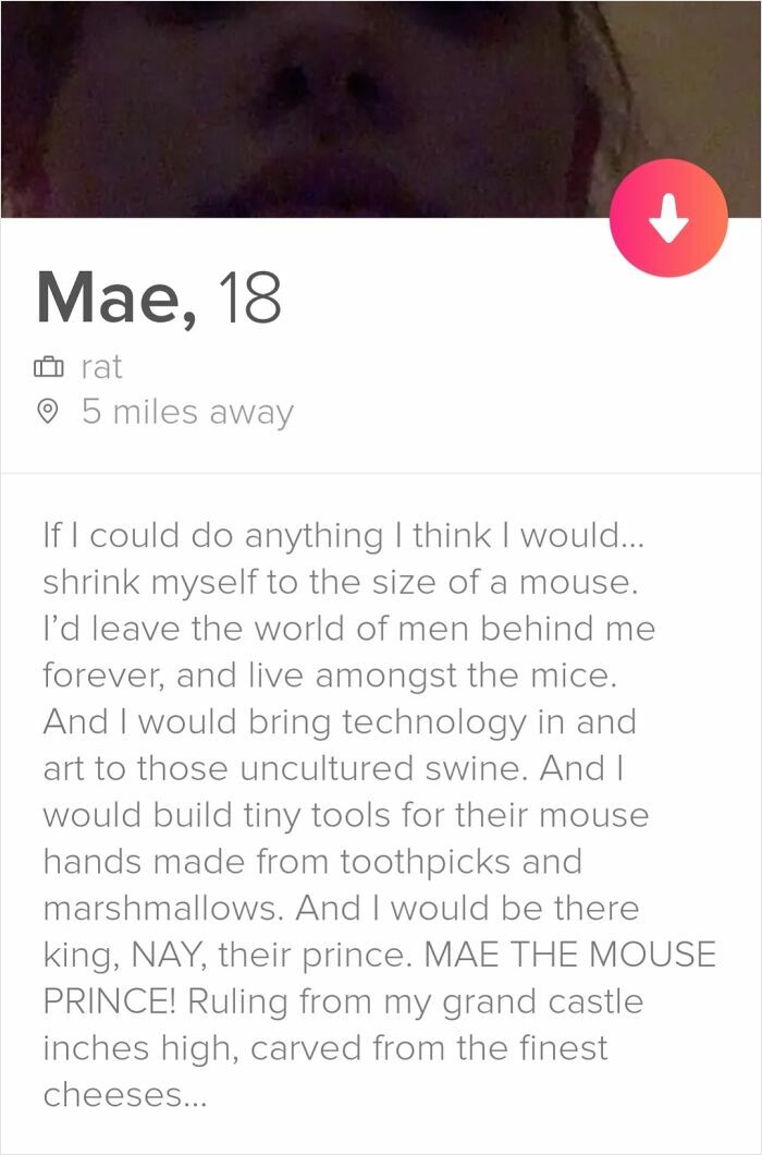 54 Tinder Profiles That Went So Off The Rails That Even Cupid Did A Double Take 54 Tinder Profiles That Went So Off The Rails That Even Cupid Did A Double Take