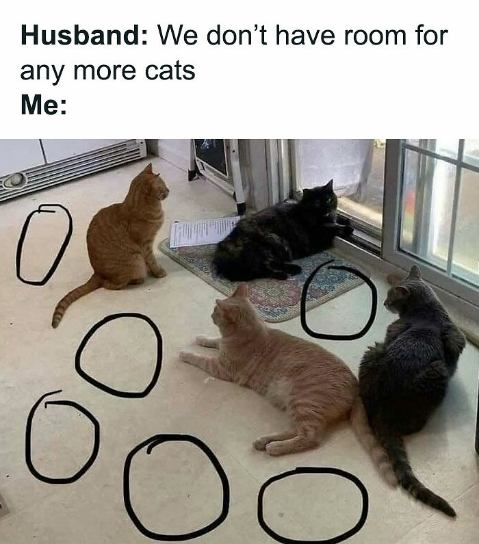 If You Can&rsquo;t Think Of A Better Way To Spend Your Time Than Looking At Cat Memes, These 115 Posts Are For You