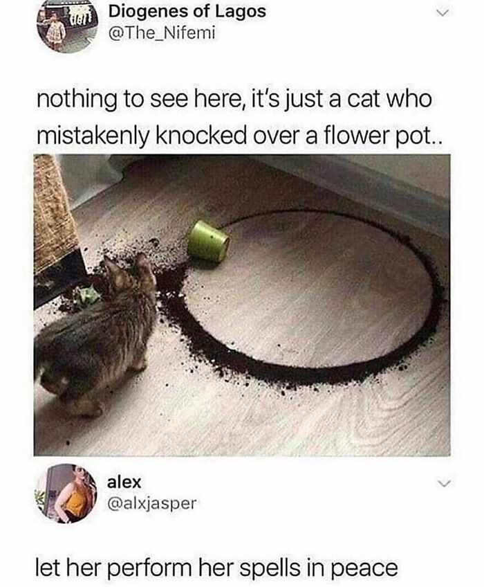 If You Can&rsquo;t Think Of A Better Way To Spend Your Time Than Looking At Cat Memes, These 115 Posts Are For You