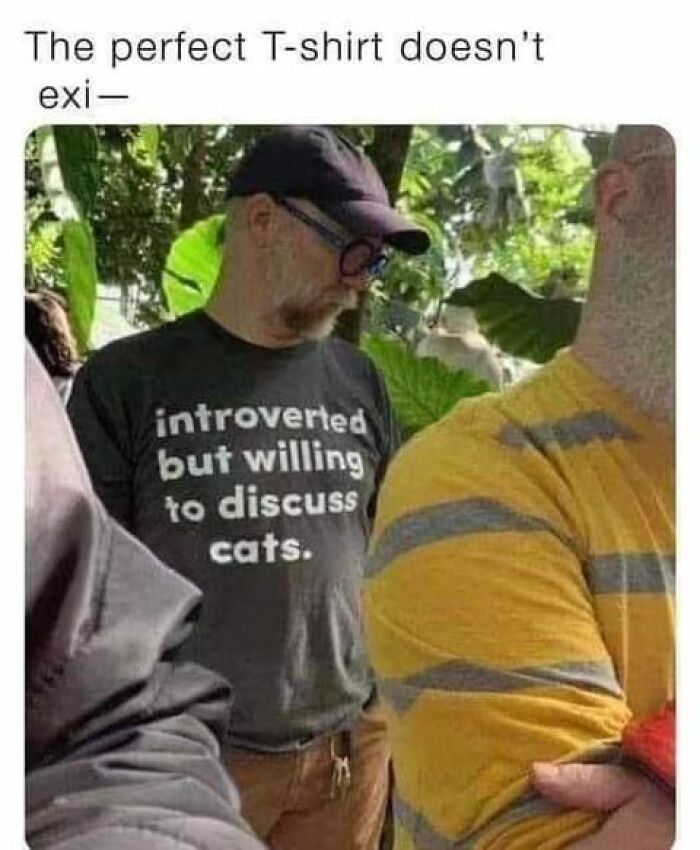 If You Can&rsquo;t Think Of A Better Way To Spend Your Time Than Looking At Cat Memes, These 115 Posts Are For You