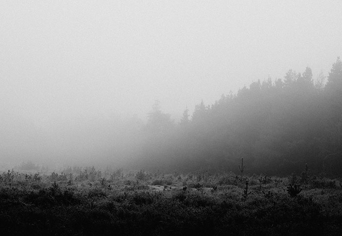 58 People Share Crazy Stories About Their Near-Death Experiences