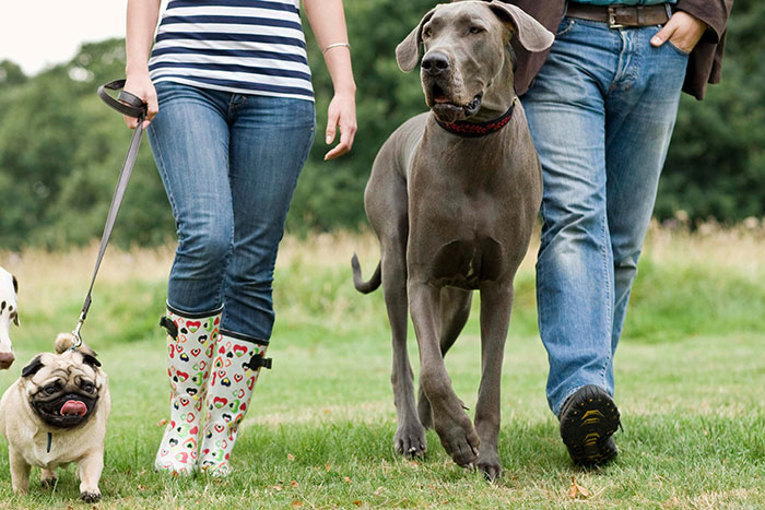 68 People Share Surprising Displays Of Intelligence They&rsquo;ve Seen In Their Pets
