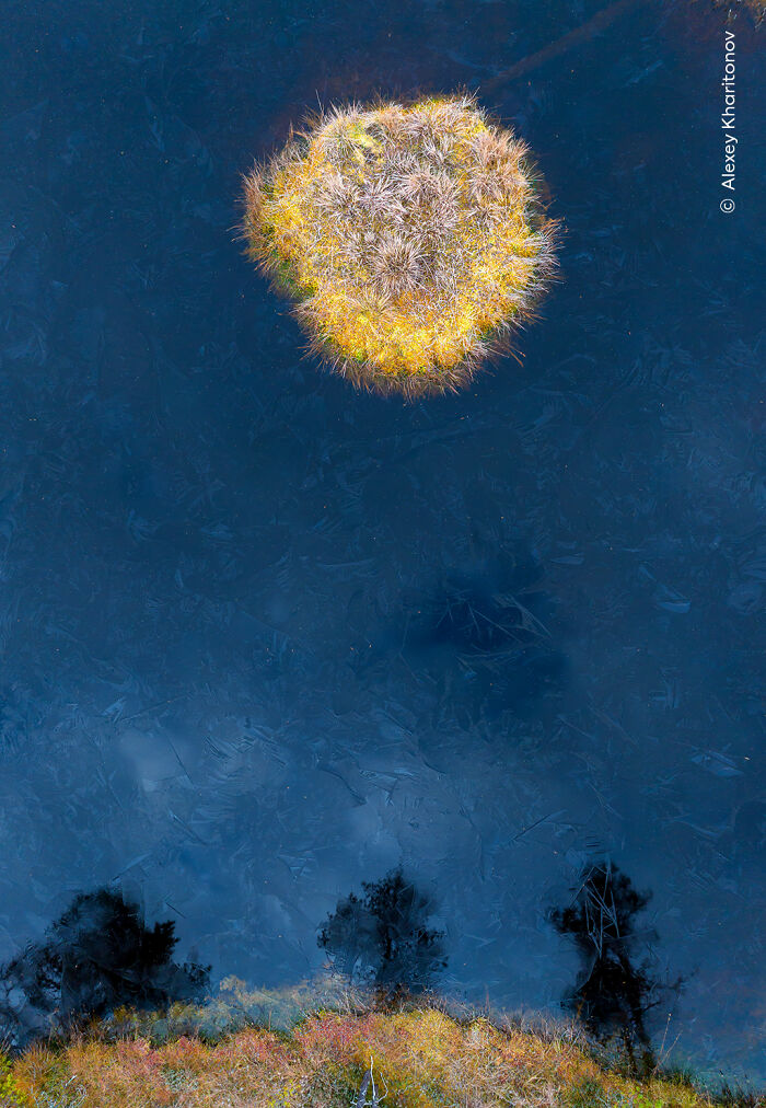 The Wildlife Photographer Of The Year 2025 Winners Are Equal Parts Gorgeous And Heartbreaking (33 Pics) The Wildlife Photographer Of The Year 2025 Winners Are Equal Parts Gorgeous And Heartbreaking (33 Pics)