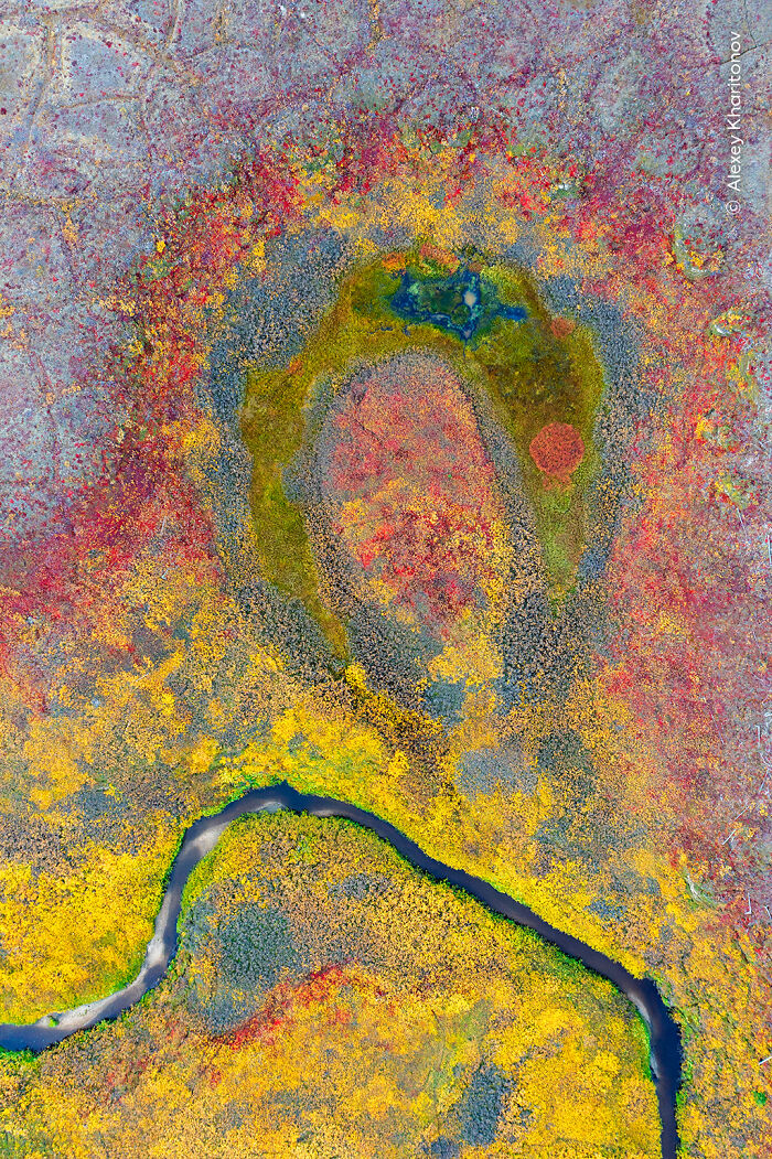 The Wildlife Photographer Of The Year 2025 Winners Are Equal Parts Gorgeous And Heartbreaking (33 Pics) The Wildlife Photographer Of The Year 2025 Winners Are Equal Parts Gorgeous And Heartbreaking (33 Pics)