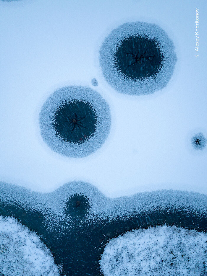 The Wildlife Photographer Of The Year 2025 Winners Are Equal Parts Gorgeous And Heartbreaking (33 Pics) The Wildlife Photographer Of The Year 2025 Winners Are Equal Parts Gorgeous And Heartbreaking (33 Pics)