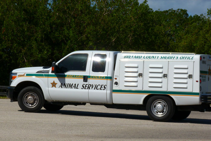 Racist Lady Tears Up After Reporting Dog Owner To Animal Control For Not “Matching” The Pet Racist Lady Tears Up After Reporting Dog Owner To Animal Control For Not “Matching” The Pet