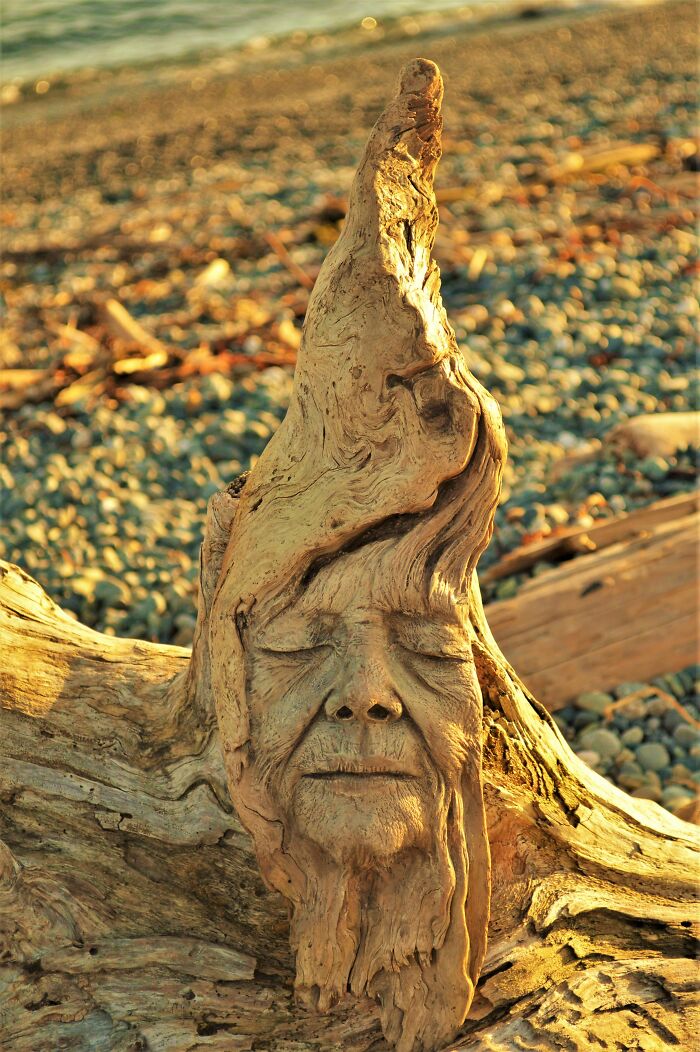 I Transform Driftwood Into Ethereal Guardians Of The Forest And Sea (29 New Pics)