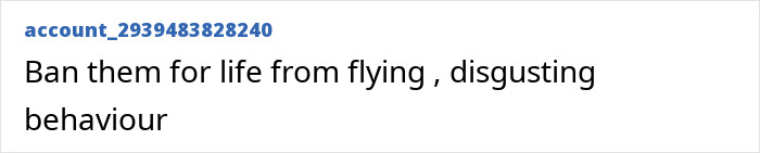 Video Captures Chaotic Brawl That Got ‘Racist’ Passengers Banned From Airline Video Captures Chaotic Brawl That Got ‘Racist’ Passengers Banned From Airline