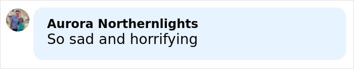 Drunken Dad Describes How Daughter’s Life Ended After Fight About Trump, Dramatic Bodycam Footage Shows