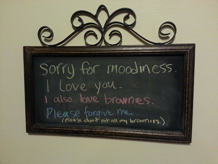 51 Unhinged And Hilarious Apology Notes 51 Unhinged And Hilarious Apology Notes