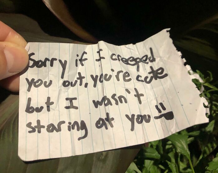 51 Unhinged And Hilarious Apology Notes 51 Unhinged And Hilarious Apology Notes