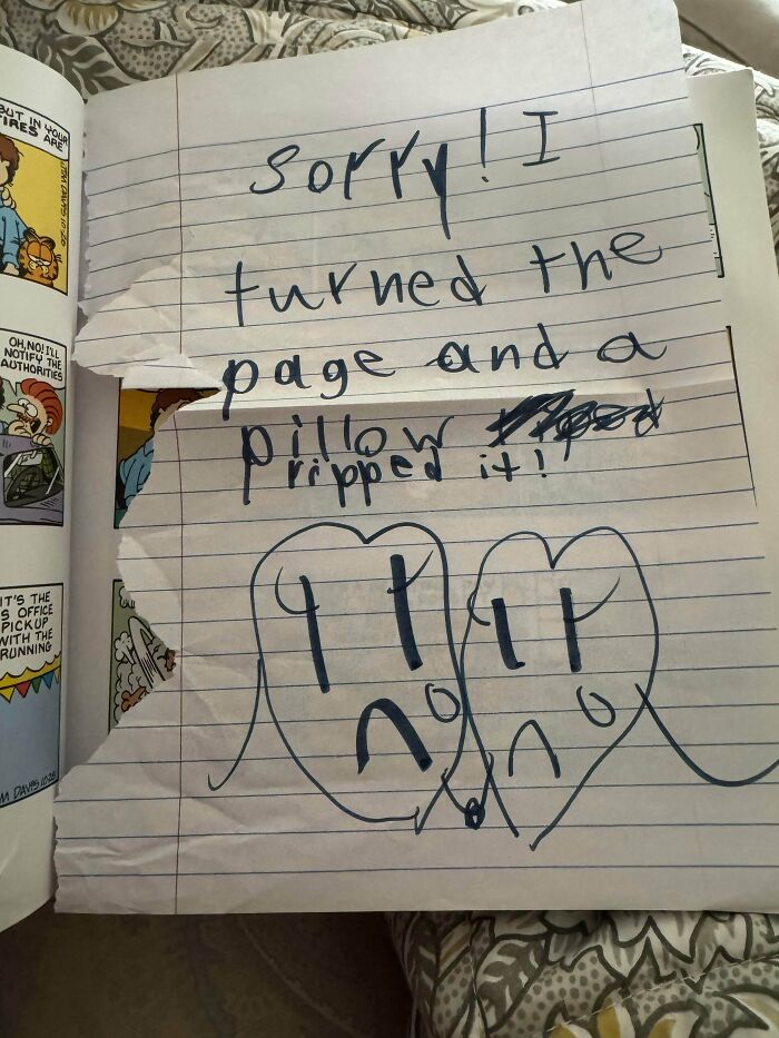 51 Unhinged And Hilarious Apology Notes 51 Unhinged And Hilarious Apology Notes
