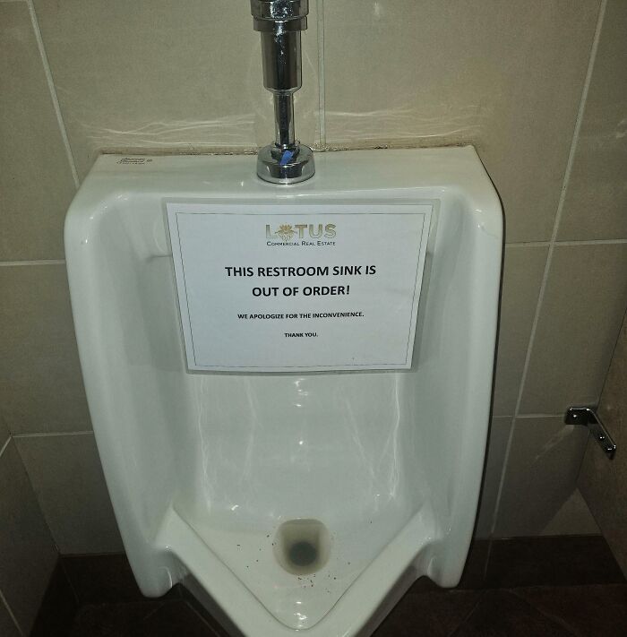 51 Unhinged And Hilarious Apology Notes 51 Unhinged And Hilarious Apology Notes