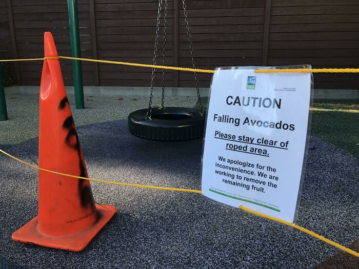 51 Unhinged And Hilarious Apology Notes 51 Unhinged And Hilarious Apology Notes