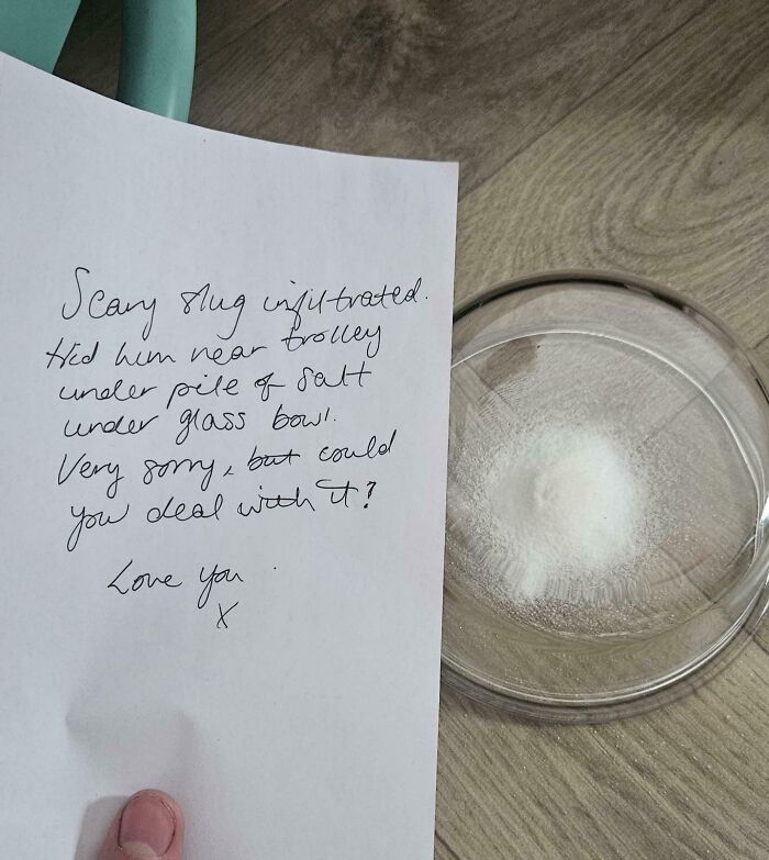 51 Unhinged And Hilarious Apology Notes 51 Unhinged And Hilarious Apology Notes