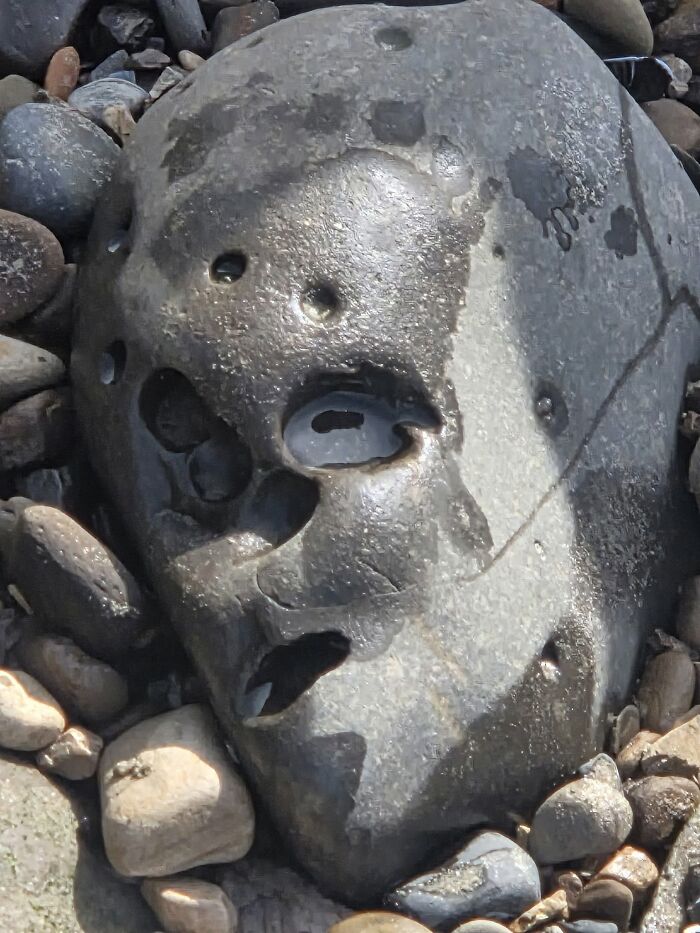 90 Times People Spotted A Face In An Everyday Thing And Just Had To Share (New Pics) 90 Times People Spotted A Face In An Everyday Thing And Just Had To Share (New Pics)