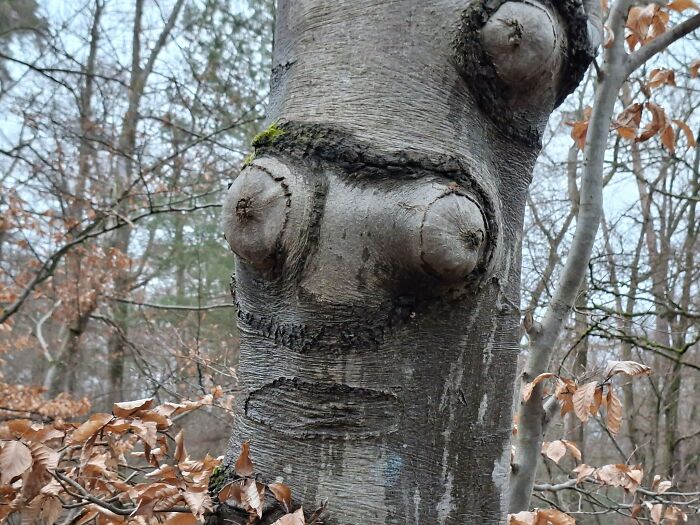 90 Times People Spotted A Face In An Everyday Thing And Just Had To Share (New Pics) 90 Times People Spotted A Face In An Everyday Thing And Just Had To Share (New Pics)