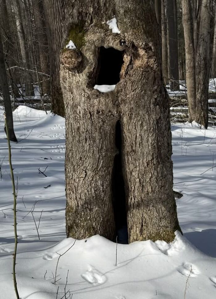 90 Times People Spotted A Face In An Everyday Thing And Just Had To Share (New Pics) 90 Times People Spotted A Face In An Everyday Thing And Just Had To Share (New Pics)