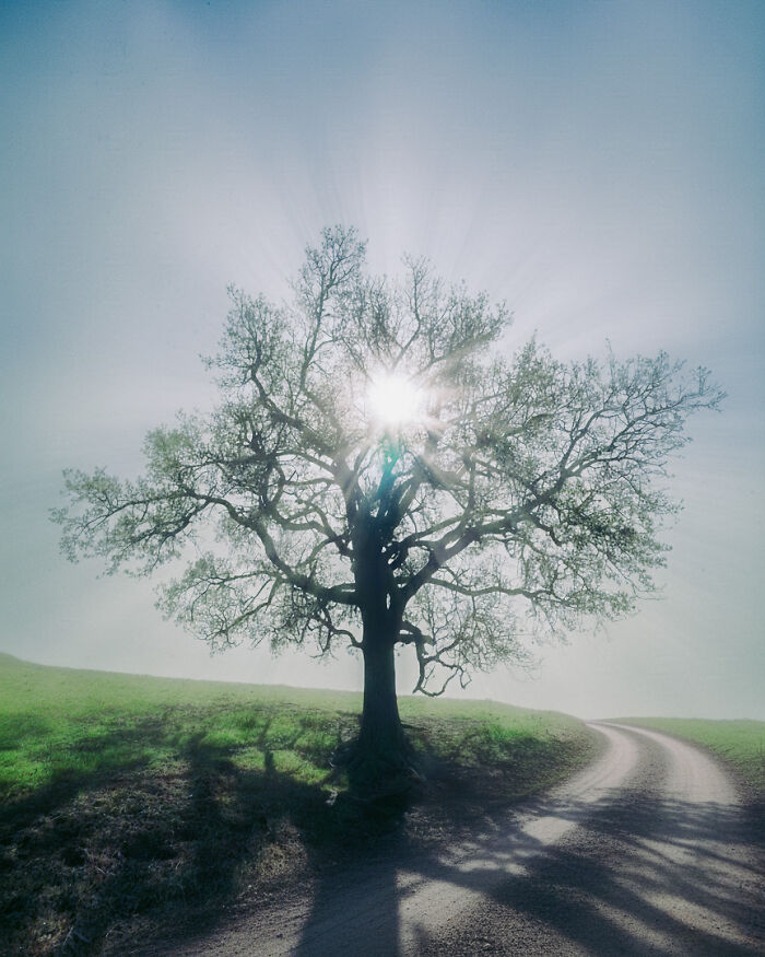 79 Liminal Spaces That Are Strangely Beautiful And Deeply Unsettling 79 Liminal Spaces That Are Strangely Beautiful And Deeply Unsettling