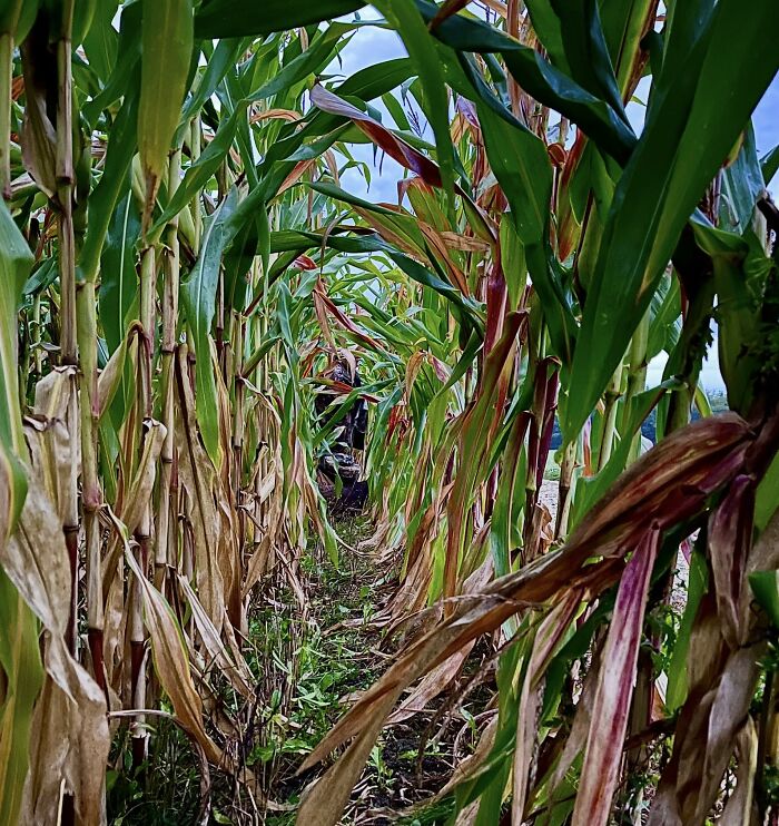 79 Liminal Spaces That Are Strangely Beautiful And Deeply Unsettling 79 Liminal Spaces That Are Strangely Beautiful And Deeply Unsettling