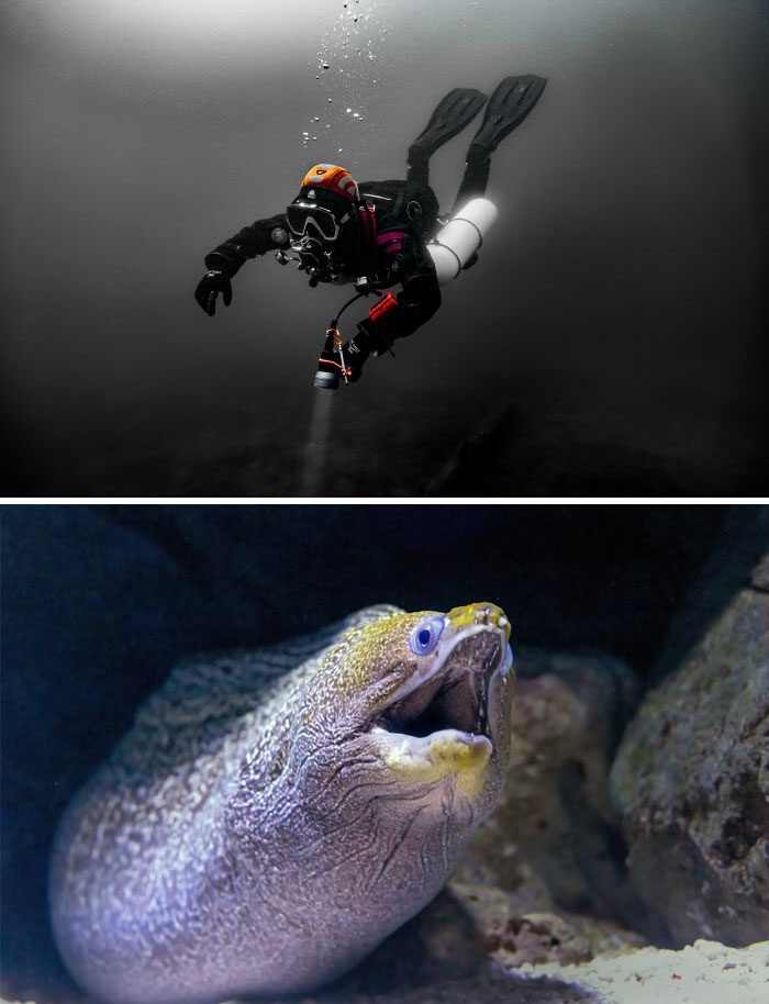 45 Times People Who Work With The Dead Were Disgusted, Creeped Out And Frightened 45 Times People Who Work With The Dead Were Disgusted, Creeped Out And Frightened