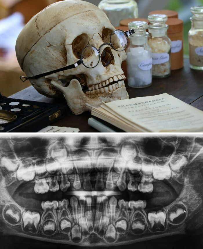 45 Times People Who Work With The Dead Were Disgusted, Creeped Out And Frightened 45 Times People Who Work With The Dead Were Disgusted, Creeped Out And Frightened