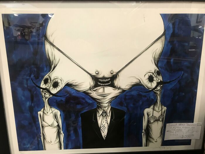 68 Wildly Questionable Thrift Store Treasures That Feel Like They Escaped Another Dimension