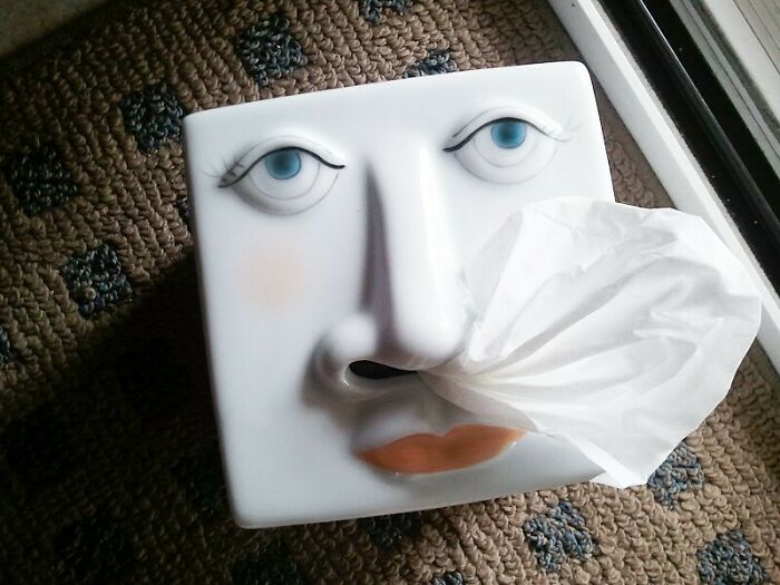 68 Wildly Questionable Thrift Store Treasures That Feel Like They Escaped Another Dimension