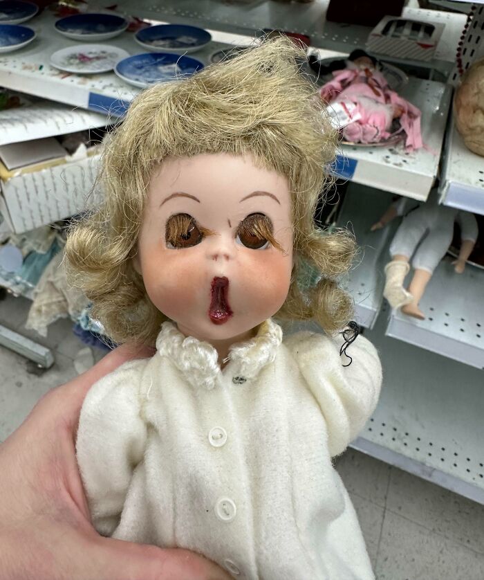 68 Wildly Questionable Thrift Store Treasures That Feel Like They Escaped Another Dimension