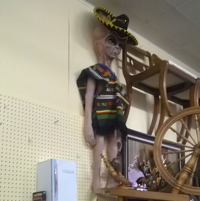 68 Wildly Questionable Thrift Store Treasures That Feel Like They Escaped Another Dimension