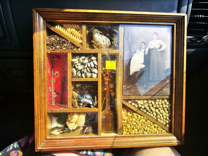 68 Wildly Questionable Thrift Store Treasures That Feel Like They Escaped Another Dimension