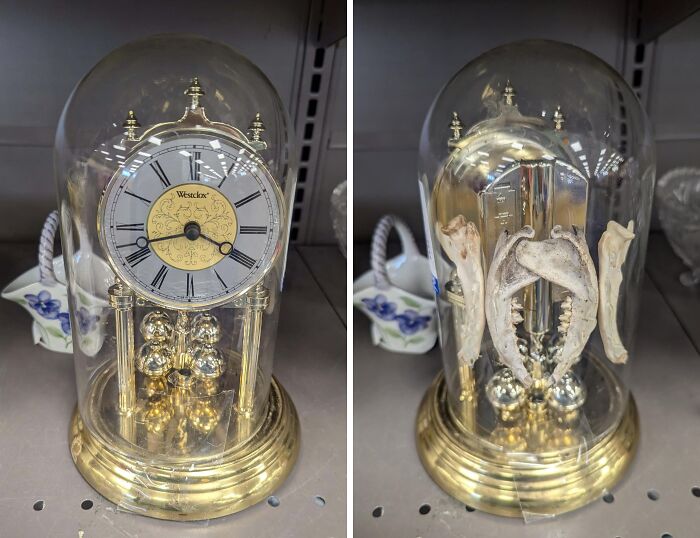 68 Wildly Questionable Thrift Store Treasures That Feel Like They Escaped Another Dimension