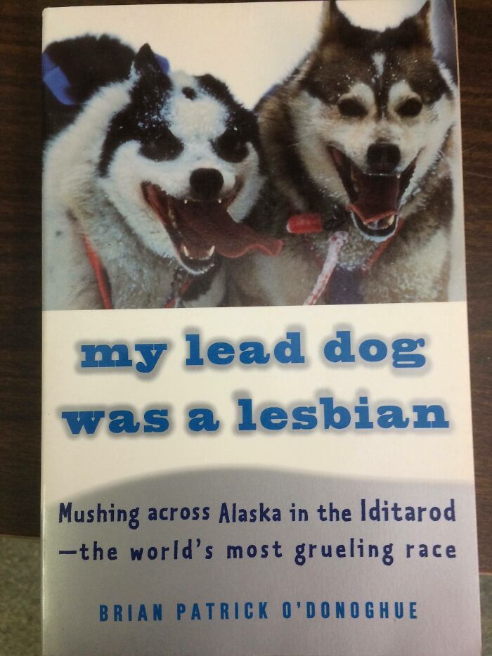 68 Wildly Questionable Thrift Store Treasures That Feel Like They Escaped Another Dimension