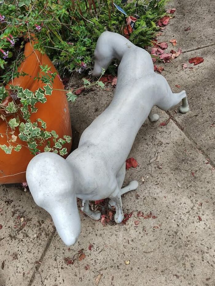 68 Wildly Questionable Thrift Store Treasures That Feel Like They Escaped Another Dimension