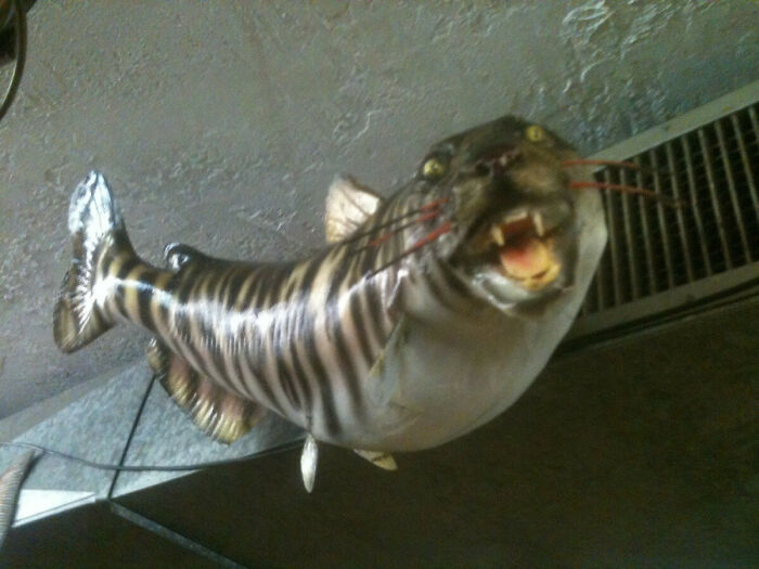 68 Wildly Questionable Thrift Store Treasures That Feel Like They Escaped Another Dimension