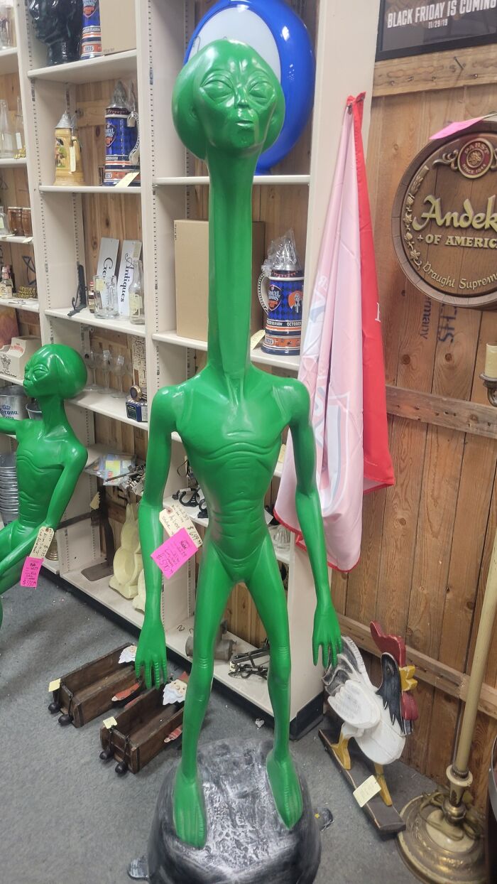 68 Wildly Questionable Thrift Store Treasures That Feel Like They Escaped Another Dimension