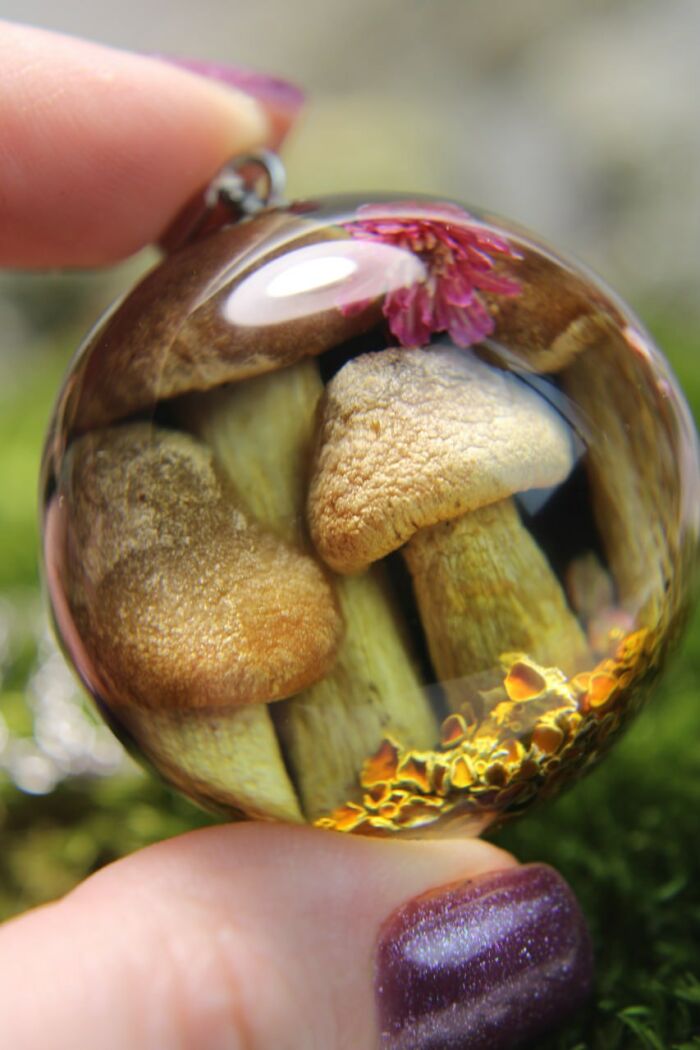 I Spent Over Five Years Perfecting My “Dome Technique” To Turn Tiny Forest Fragments Into Optical Art I Spent Over Five Years Perfecting My “Dome Technique” To Turn Tiny Forest Fragments Into Optical Art