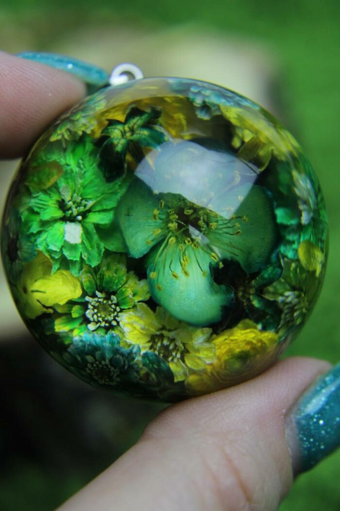 I Spent Over Five Years Perfecting My “Dome Technique” To Turn Tiny Forest Fragments Into Optical Art I Spent Over Five Years Perfecting My “Dome Technique” To Turn Tiny Forest Fragments Into Optical Art