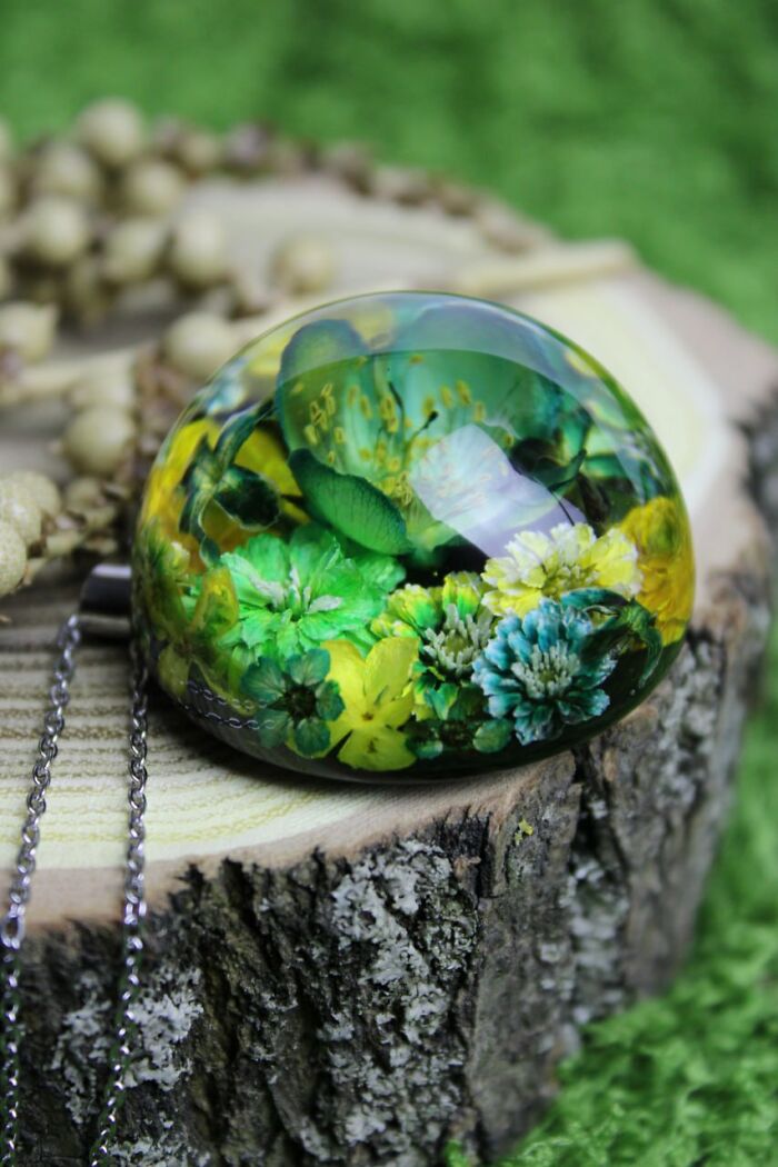 I Spent Over Five Years Perfecting My “Dome Technique” To Turn Tiny Forest Fragments Into Optical Art I Spent Over Five Years Perfecting My “Dome Technique” To Turn Tiny Forest Fragments Into Optical Art