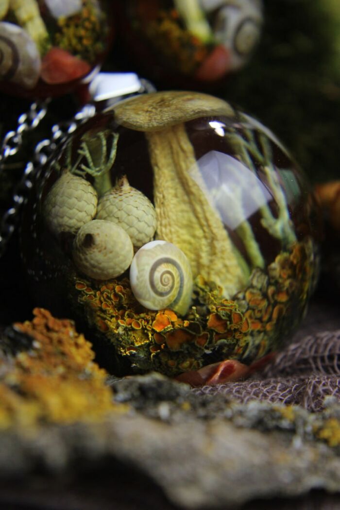 I Spent Over Five Years Perfecting My “Dome Technique” To Turn Tiny Forest Fragments Into Optical Art I Spent Over Five Years Perfecting My “Dome Technique” To Turn Tiny Forest Fragments Into Optical Art